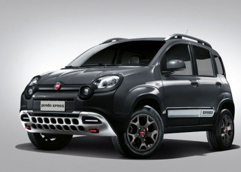 Panda Cross
