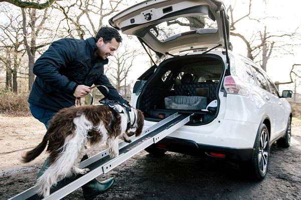 Le concept Nissan X-Trail 4Dogs reçoit des équipements spécifiques pour chien