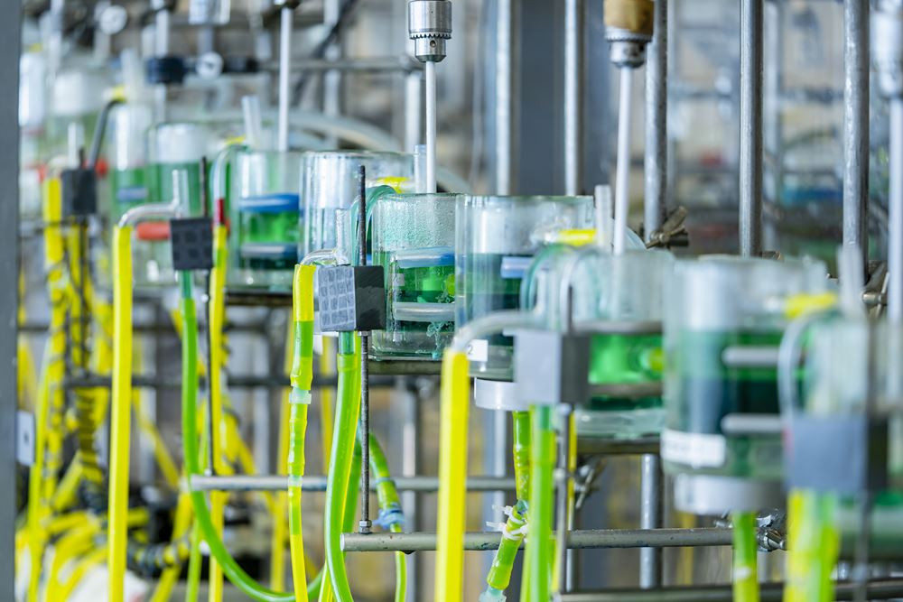 L'hydrométallurgie permet la récupération des matériaux rares contenus dans les batteries