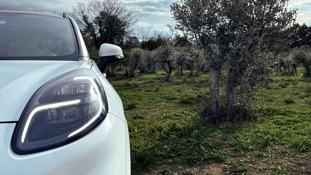 Des fibres de déchets d'oliviers utilisées pour créer des pièces automobiles intérieures