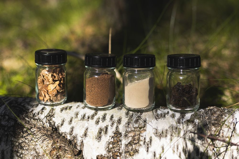 Une matière première fabriquée à partir de résidus d'écorce de bouleau dans un pneu concept