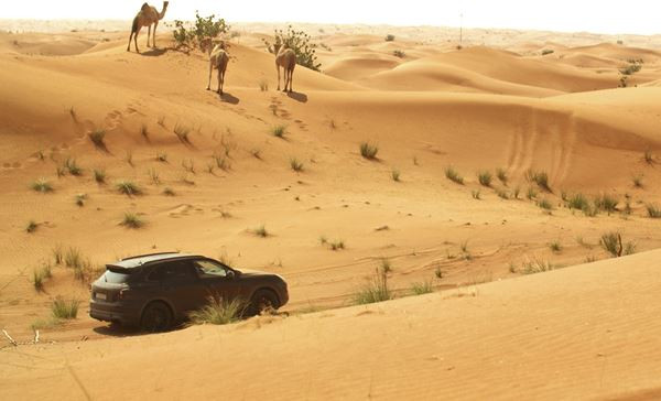 Le Porsche Cayenne termine sa phase de tests