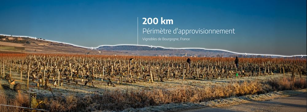 Des sarments issus de la taille des vignes intégrés à l'habitacle du Citroën C5 Aircross