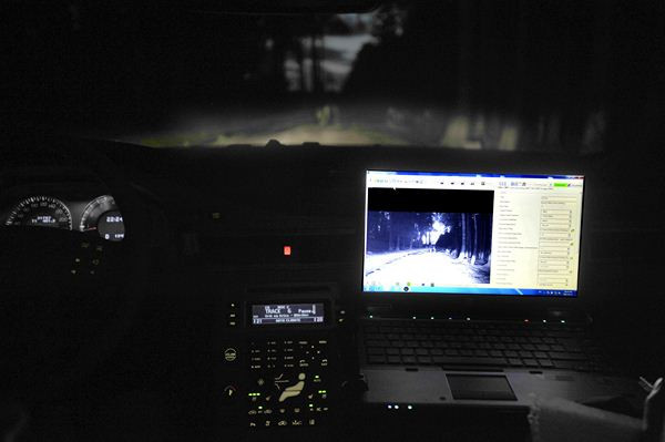 Volvo développe une technologie d'évitement des collisions avec le grand gibier