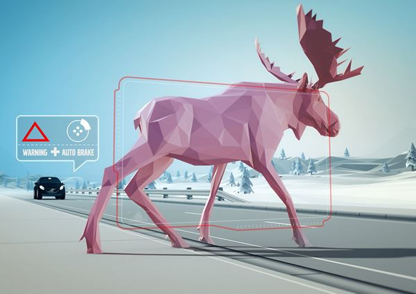 La détection des animaux Volvo déclenche un freinage automatique face à des animaux