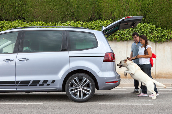 Voyager en voiture avec un animal domestique