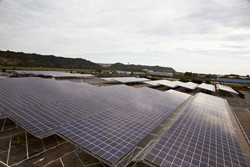 Renault se dote de 40 hectares de panneaux photovoltaïques sur six sites industriels français