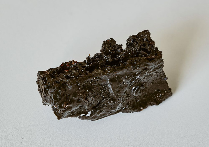 Une matière première fabriquée à partir de résidus d'écorce de bouleau dans un pneu concept