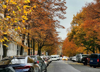 Le marché 2025 des véhicules d'occasion en légère hausse de 0,7% à 5 437 041 immatriculations