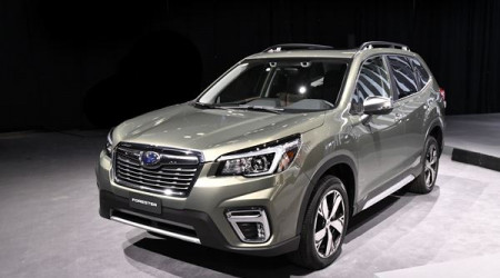 forester Image 2